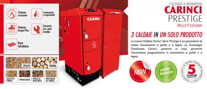 caldaia biomassa prestige pellet/legna