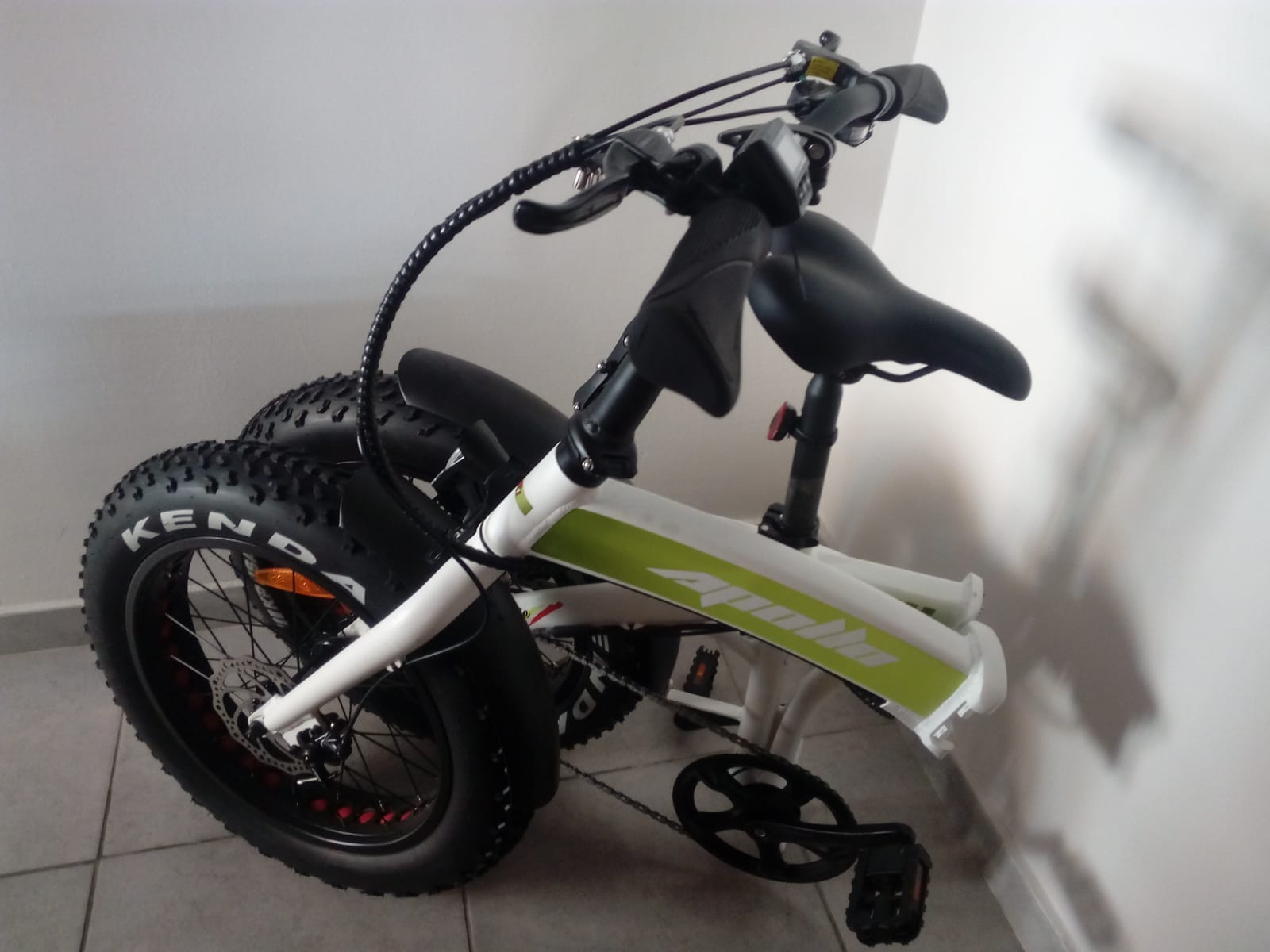 Bicicletta LITTLE GIRL,è una fat bike pieghevole - irpiniannunci.it