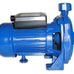 Elettropompa Centrifuga Maxima CM 100 Monofase