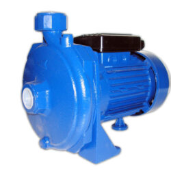 Elettropompa Centrifuga Maxima CM 100 Monofase