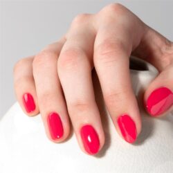 pn longwear 220 pink flamingo 10 ml pronails