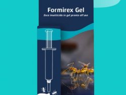 Formirex Gel Esca insetticida in gel pronta all’uso