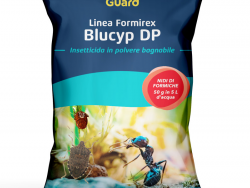 Insetticida Blucyp DP kg.1