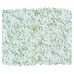 Tampone tondo D. 50 mm