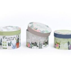 SET 3 SCATOLE TONDE “RIO” – mercury