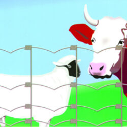 frigerio rete per recinzioni galvafield 100/8/15 mt.50