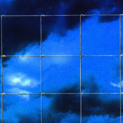 rete per pecore 8×15 h 100 cm rotolo 50 m