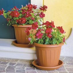 Vaso Venezia Ø cm 30 Stefanplast