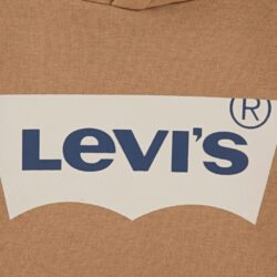 Felpa Marrone Cappuccio Bambino