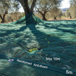 Rete per olive antispine mt. 5×10