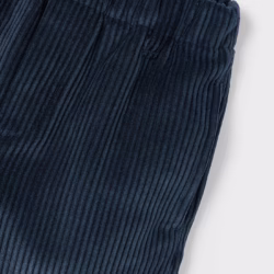 Pantalone Blu Bambino Costine