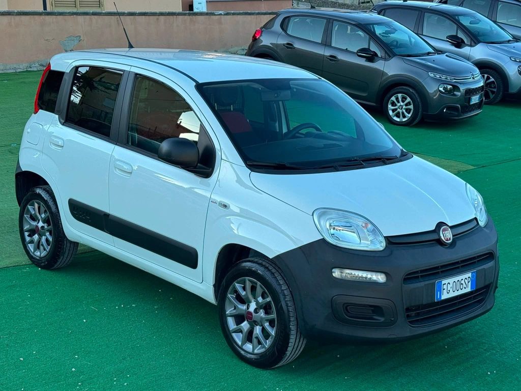 Fiat Panda 1.3 MJT 4x4 Van 2 posti