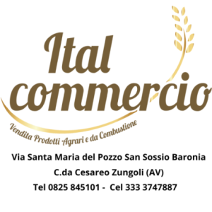 Profile photo of Ital Commercio