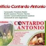 Profile photo of Caseificio Contardo